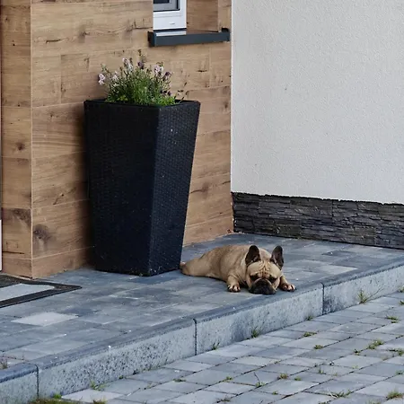 Tatil Evi Pod Gwiezdzistym Niebem